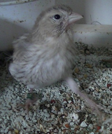 20 dagen, op zoektocht 